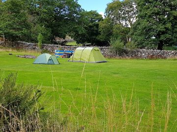 Grass pitches