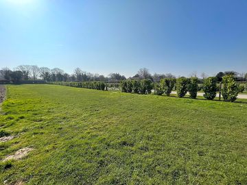 Grass pitches