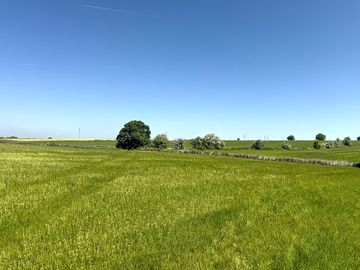 Rural scenery