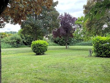 Grass pitches