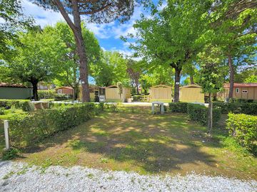 Piazzola piccola