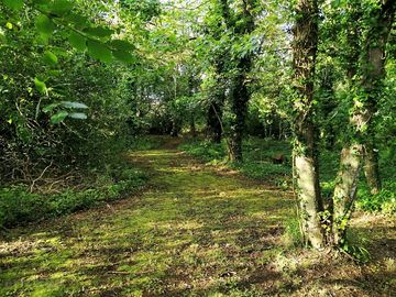 Small wooded area by the meadow (added by manager 28 jun 2023)