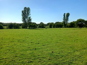 Pitches sheltered by trees (added by manager 20 jun 2022)