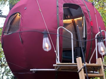 Tree tent exterior