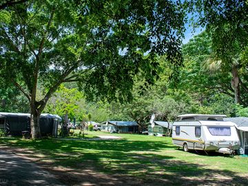 Peaceful leafy campsite