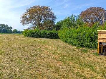 Grass serviced pitches