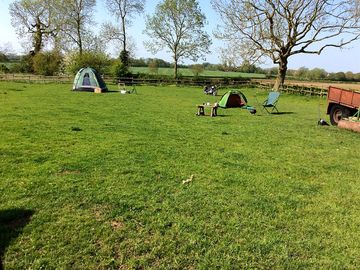 Camping field