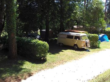 Pitches in the shade