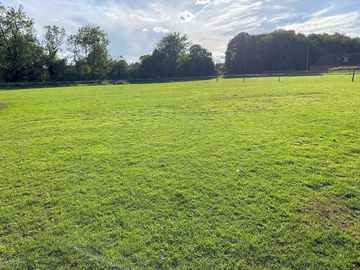 Choice of pitch