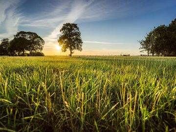 Dog-friendly camping in oxfordshire
