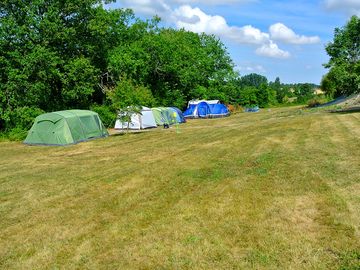 Number of pitches is limited