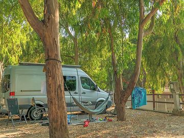 Pitch under the trees