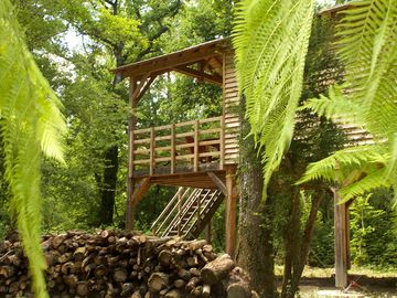 Stairs up to the lodge (added by manager 22 feb 2016)