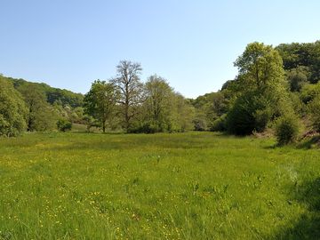 The main pitching field