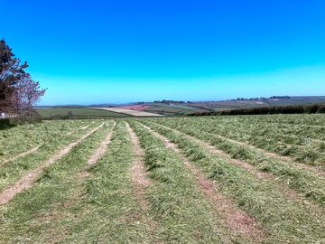 Silage in the main camping field with beautiful views behind