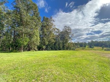 Wallaby meadows campsite