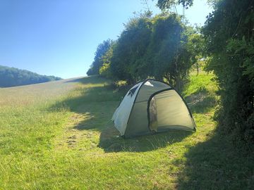 Pitches under the hedge