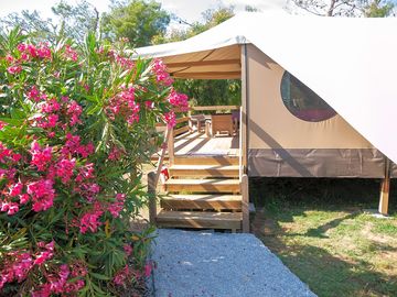 Entrance to the tent