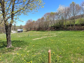 Grass pitches