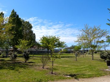 Grass pitches