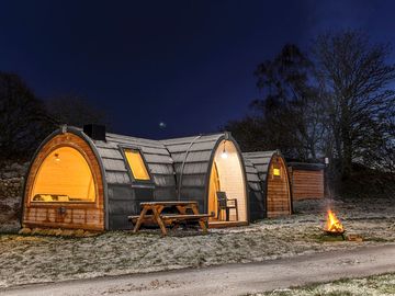 A toasty campfire under a starlit sky