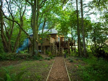 View to the treehouse