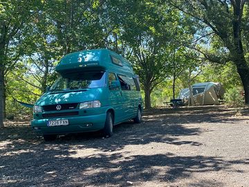 A lovely spot under the trees