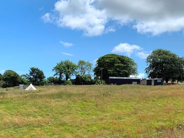 Meadow setting