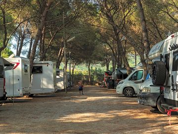 Tourer pitches under the trees