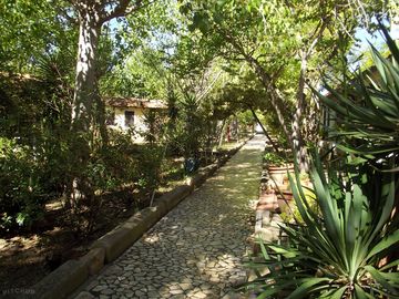 Shaded paths