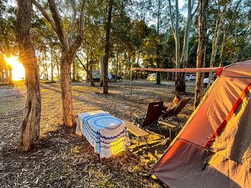 Sleeping in the woods