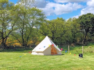 Bell tent, with lots of room to spread out (added by manager 08 sep 2022)