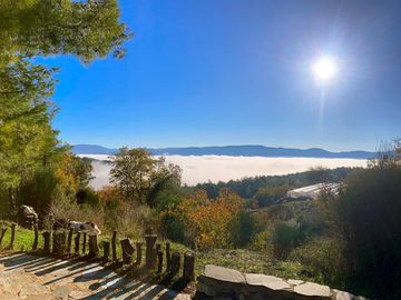 Winter morning at the yoga spot
