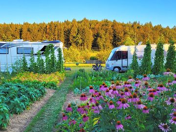 Camping on the outskirts of ljubljana, slovenia (added by manager 18 may 2024)