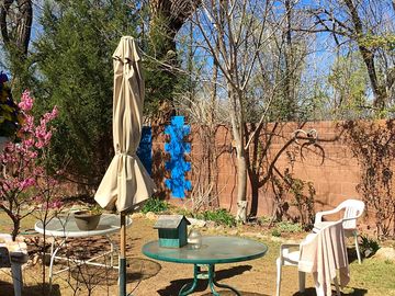 The fruit trees start to bloom in spring