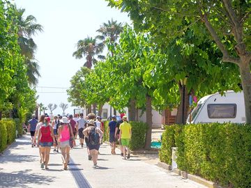 Walk to the beach