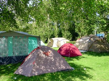 Shaded grass pitches