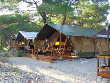 Glamping tents shaded by trees