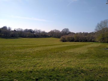 Grassy pitches