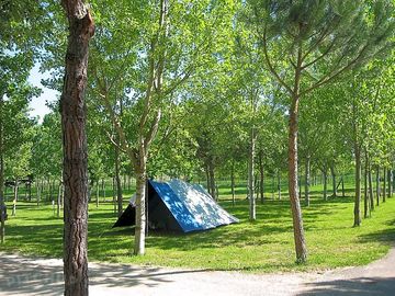 Pitches under the trees