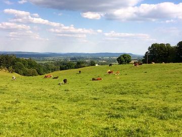Looking towards hereford