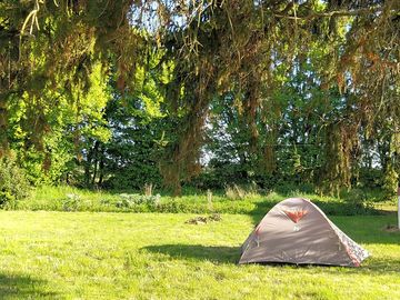 Spacious grass pitches
