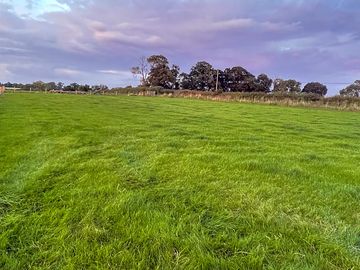 Grass pitches