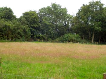 The hay meadow (added by manager 19 jul 2021)