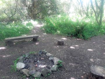Small firepit in the woodland (added by manager 27 may 2022)
