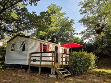 Cabin tucked into a leafy corner