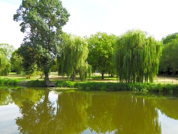 Vue sur le camping