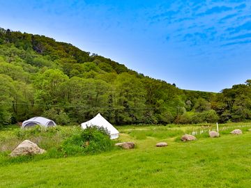 Camping field backed by trees