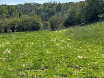 Rural setting