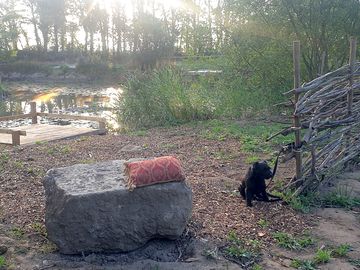 Wild campfire and fishing area